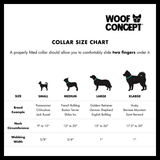 DISCO | DOG COLLAR